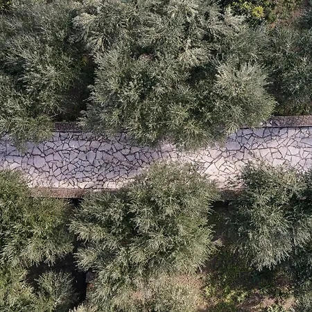 Castelletto Heated Pool Jacuzzi Villa Kypseli